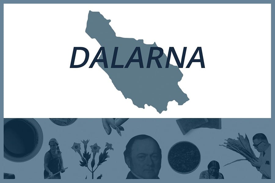 Så här snusar man i Dalarnas län