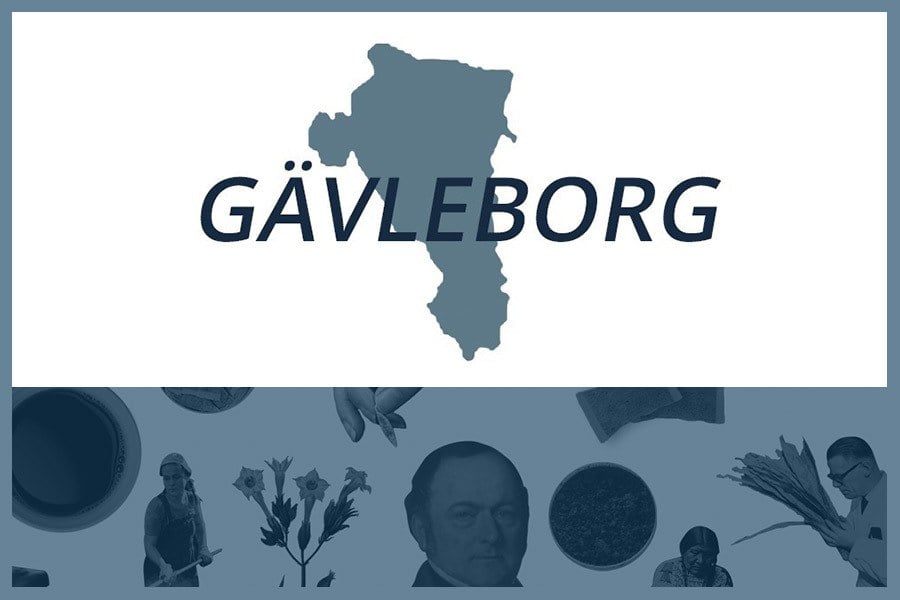 Så här snusar man i Gävleborgs län