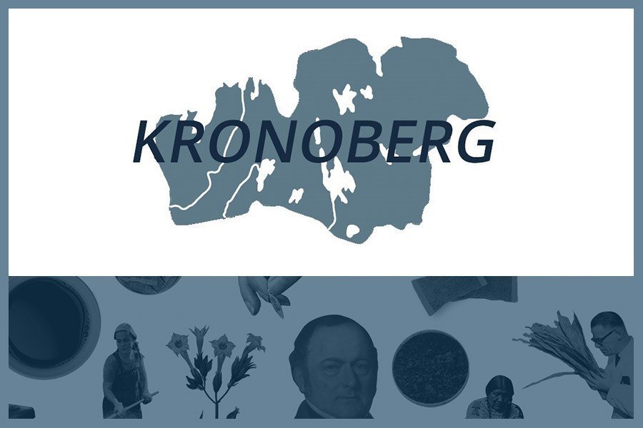 Så här snusar man i Kronobergs län