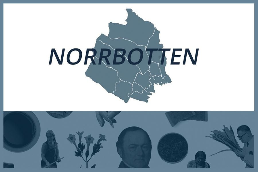 Så här snusar man i Norrbottens län