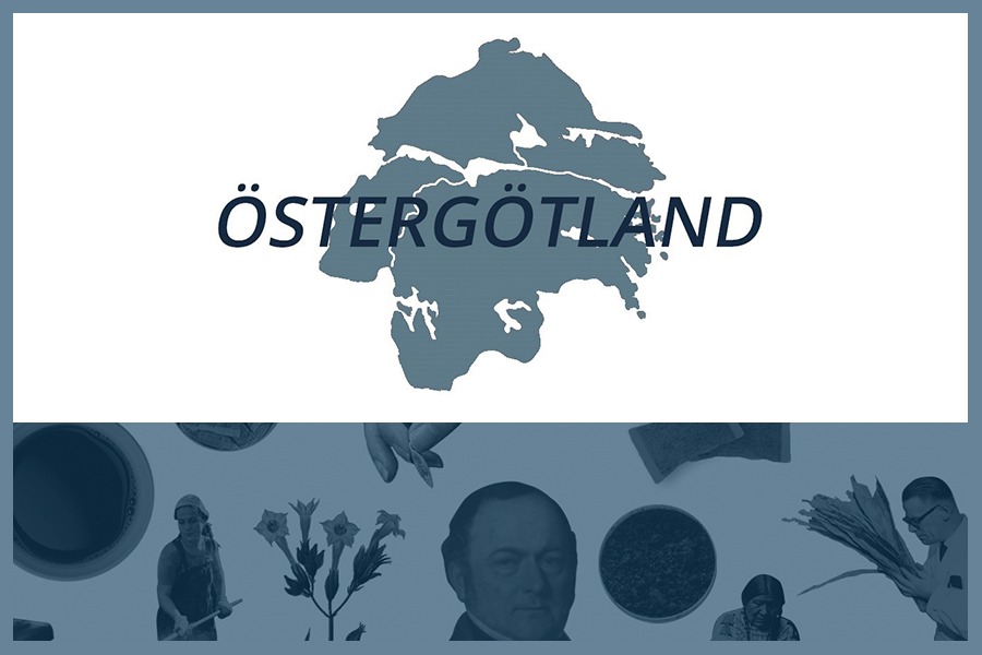 Så här snusar man i Östergötlands län