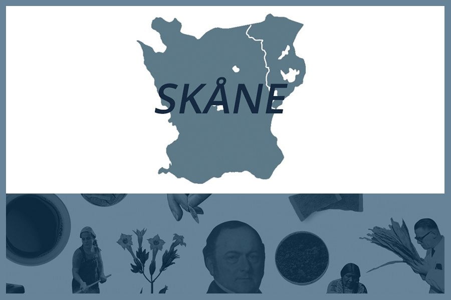 Så här snusar man i Skåne län