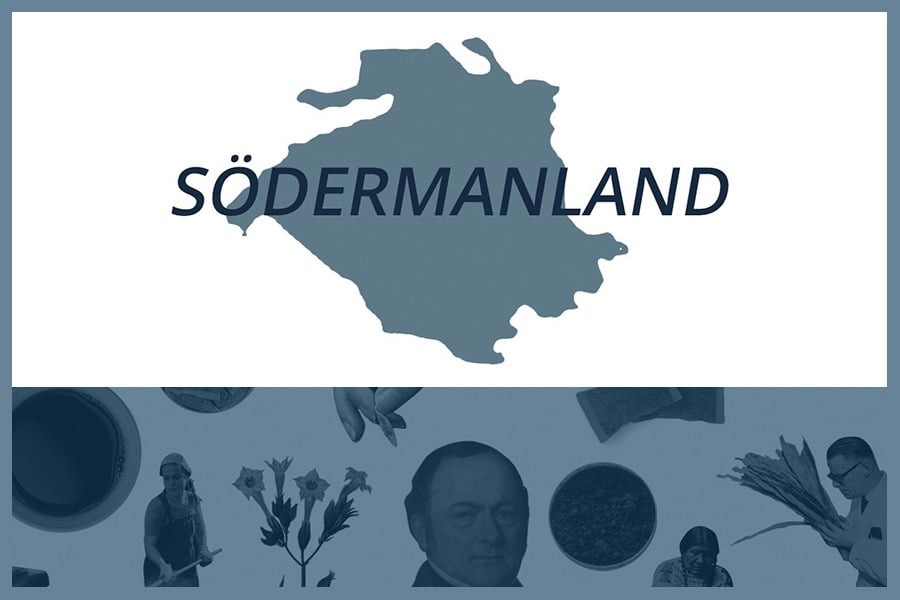 Så här snusar man i Södermanlands län