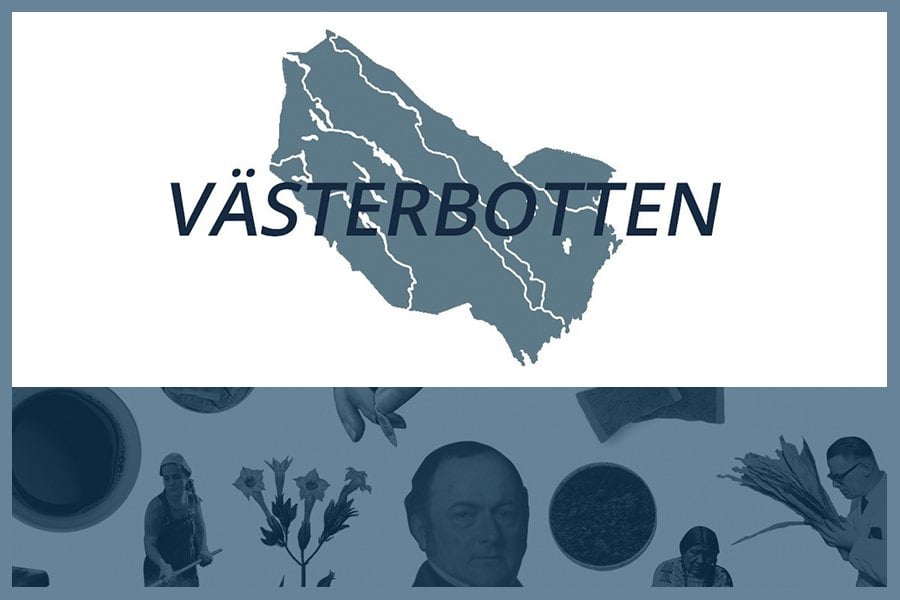 Så här snusar man i Västerbottens län