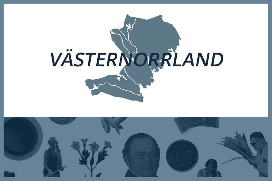 Så här snusar man i Västernorrlands län