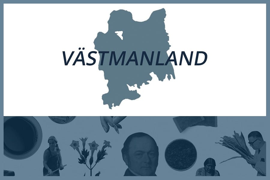 Så här snusar man i Västmanland