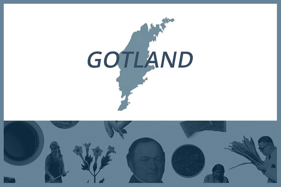 Så här snusar man på Gotland