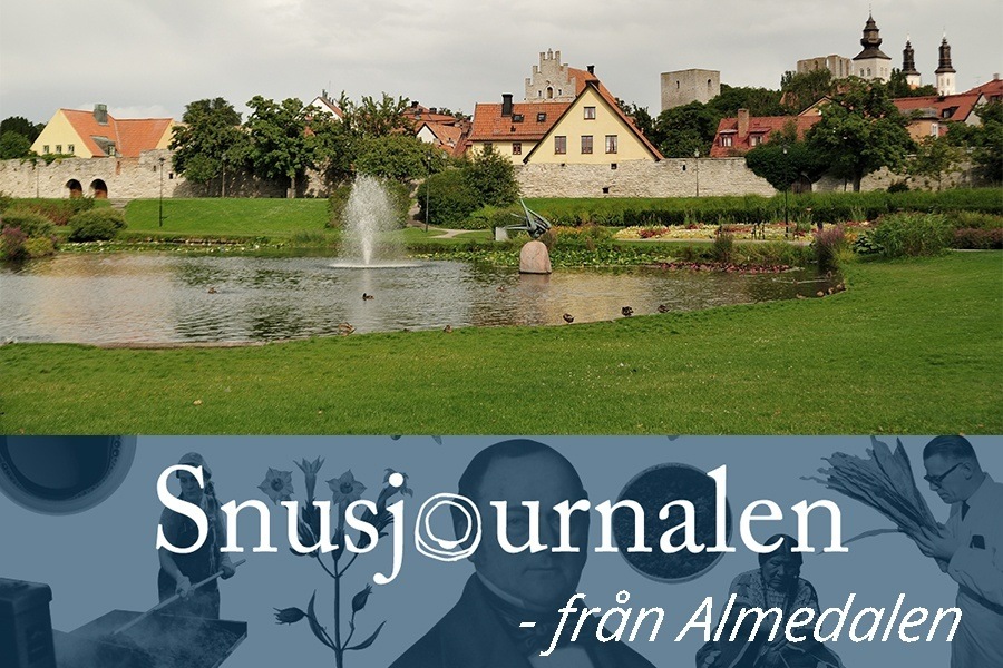 Snusbolaget i Almedalen 2019